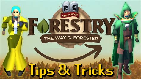 One of the most outdated skills in Oldschool Runescape has just received a MASSIVE update. . Forestry osrs